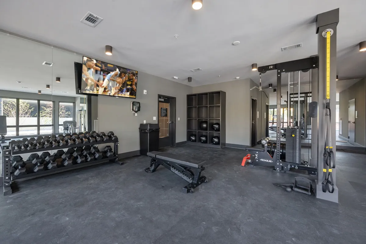 A bright, contemporary fitness center features a dumbbell rack, weight bench, multi-gym machine, and a television screen, setting the scene for transformative workouts and group fitness classes in an energetic environment.